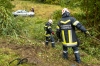 Pkw kommt nach Wildunfall von der Straße ab
