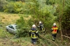 Pkw kommt nach Wildunfall von der Straße ab
