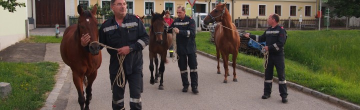 Einsatz Tierrettung Einsatz Tierrettung