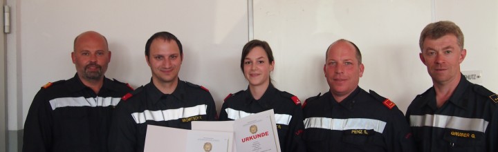 Feuerwehrleistungsabzeichen in Gold 2017
