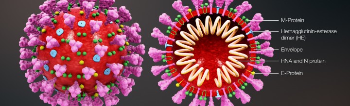 Coronavirus COVID-19 – Informationen!