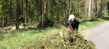 Technischer Einsatz: Baum über Straße Technischer Einsatz: Baum über Straße