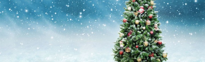 Frohe Weihnachten und alles Gute für 2021! Frohe Weihnachten und alles Gute für 2021!