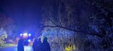 Technischer Einsatz: Baum über Straße