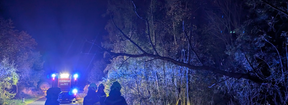 PXL_20251025_173650426.NIGHT