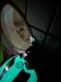 pxl_20250412_113137474