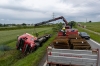 Lkw-Unfall durch medizinischen Notfall - Aufwendige Bergungsarbeiten