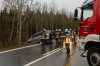 Fahrzeuglenkerin weicht umgestürzten Baum aus und rutscht von der Fahrbahn